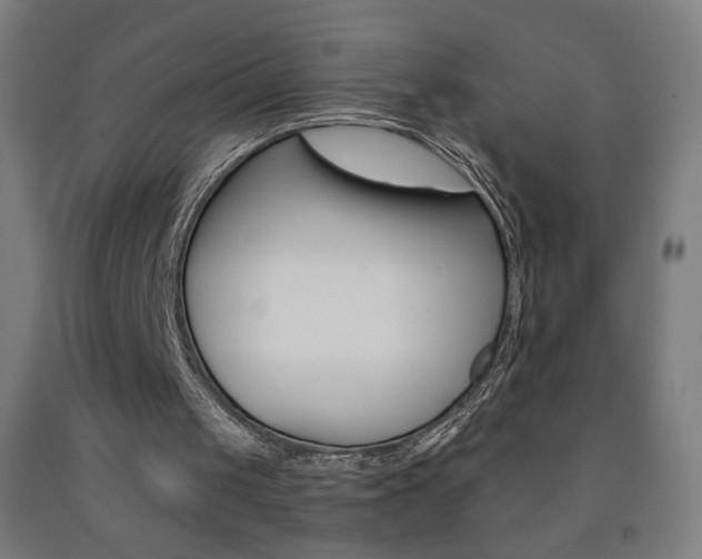 X0000093260049200709261626