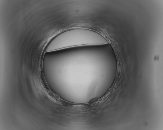 X0000093260050200709261627
