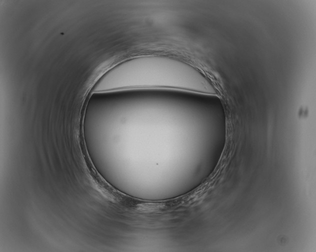 X0000093260051200709261627