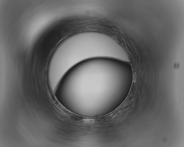 X0000093260052200709261627