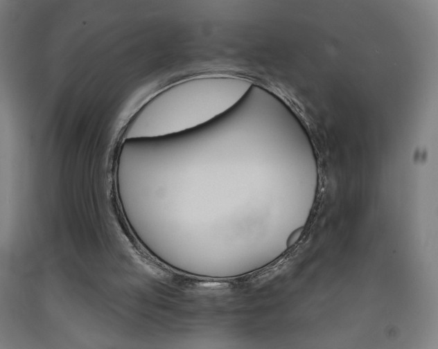 X0000093260053200709261627