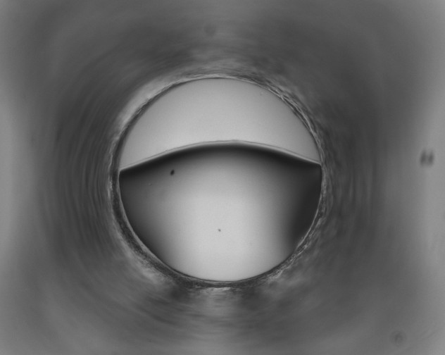 X0000093260054200709261627