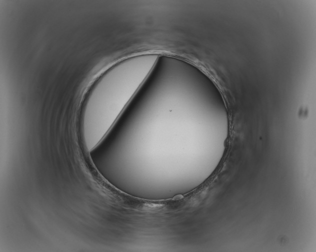 X0000093260055200709261627