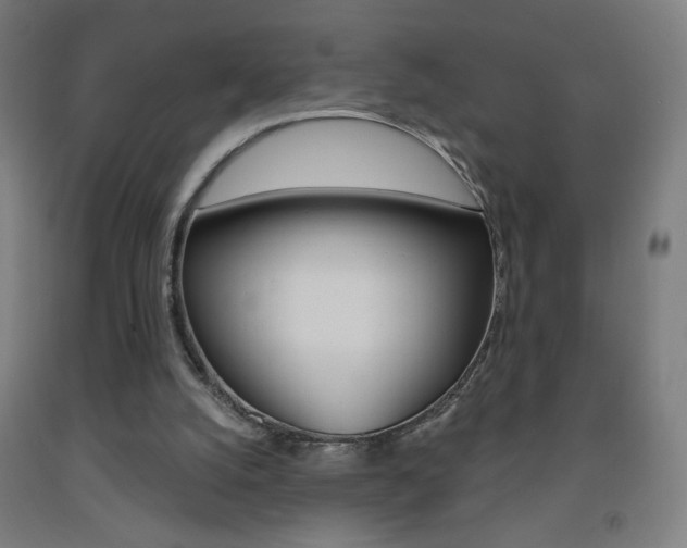 X0000093260056200709261627