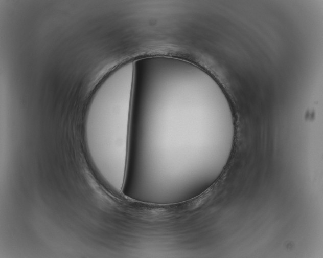 X0000093260058200709261627