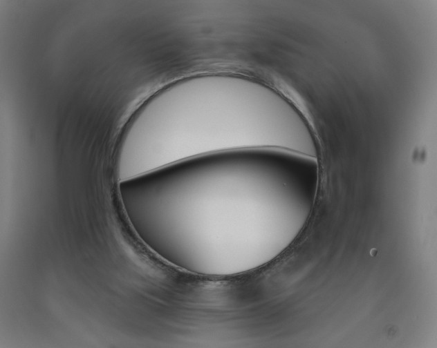 X0000093260059200709261627