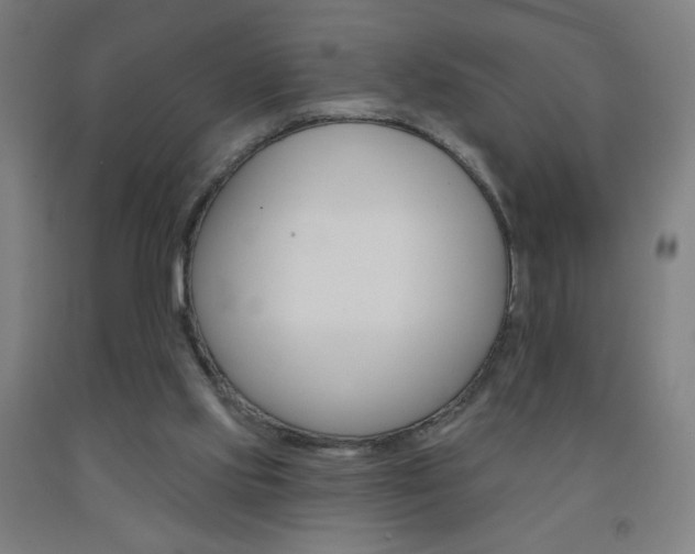 X0000093260061200709261627
