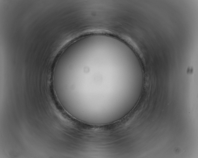 X0000093260063200709261627