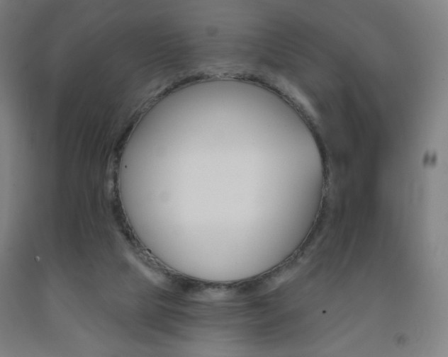 X0000093260065200709261627