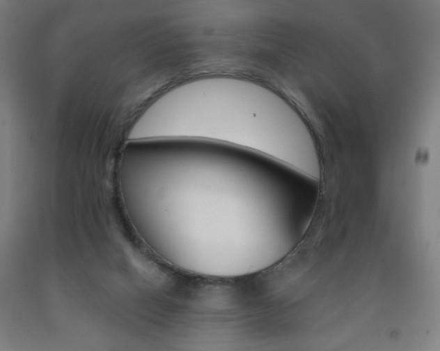 X0000093260066200709261627