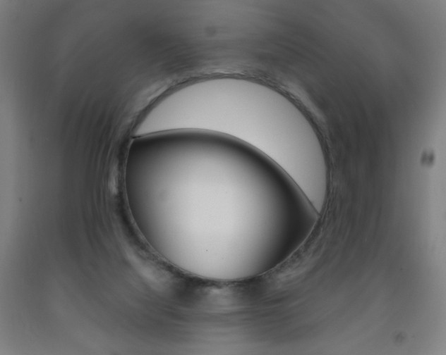 X0000093260068200709261627