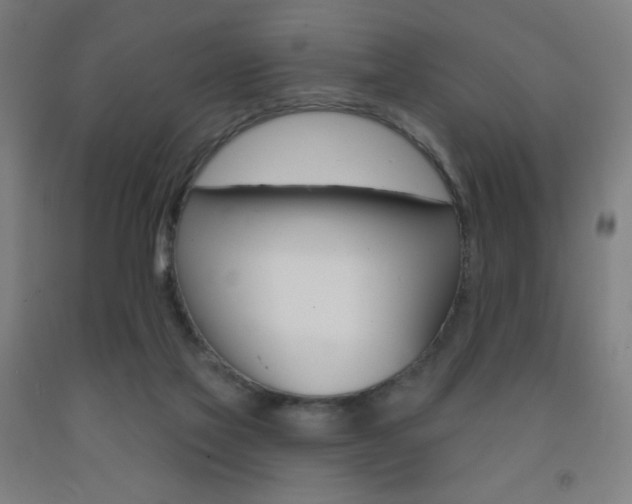 X0000093260069200709261627