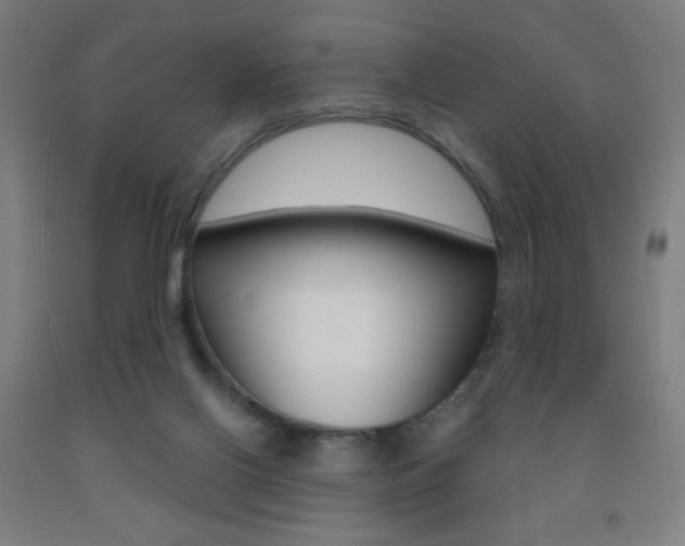 X0000093260070200709261627