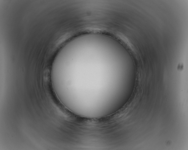 X0000093260071200709261627