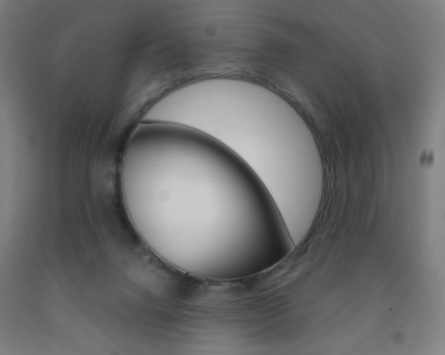 X0000093260072200709261627