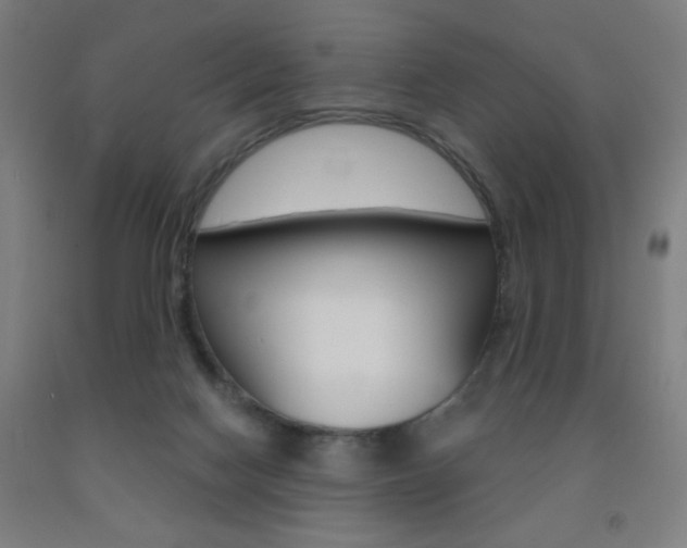 X0000093260074200709261627