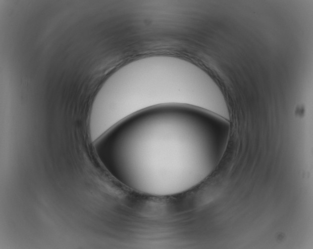 X0000093260076200709261627