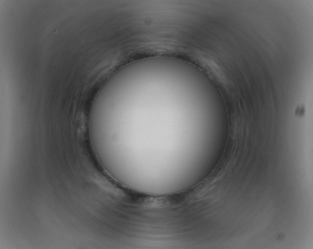 X0000093260077200709261627
