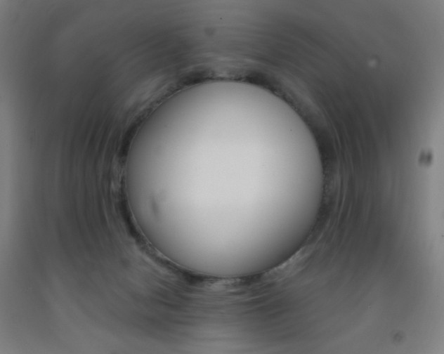 X0000093260078200709261627