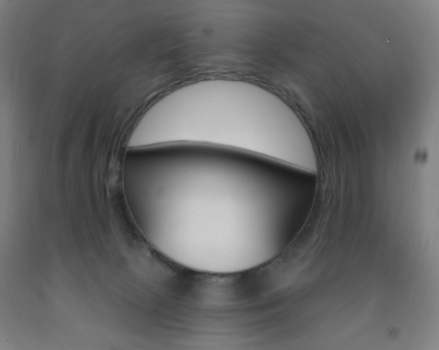 X0000093260081200709261627