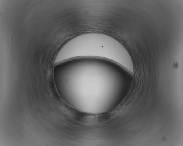 X0000093260084200709261627