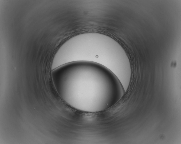 X0000093260088200709261627