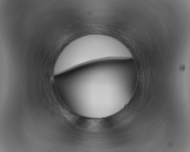 X0000093260089200709261627