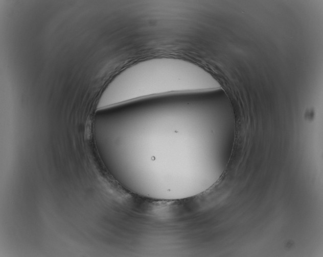 X0000093260090200709261627