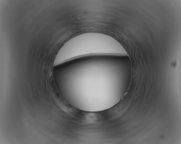 X0000093260091200709261627