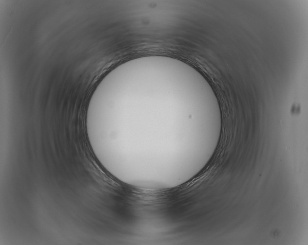 X0000093260096200709261627
