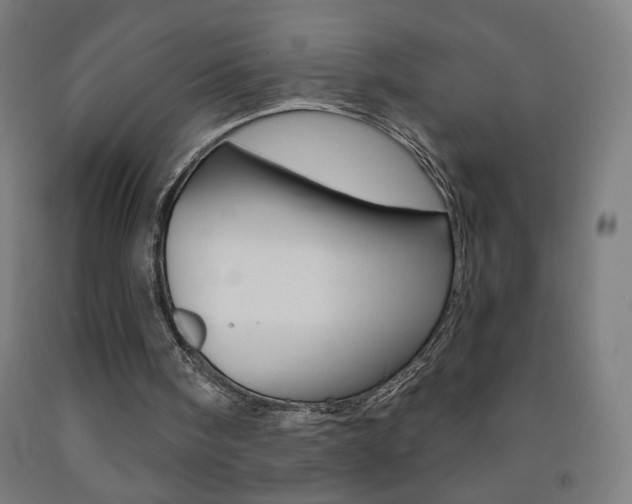 X0000093260098200709261626