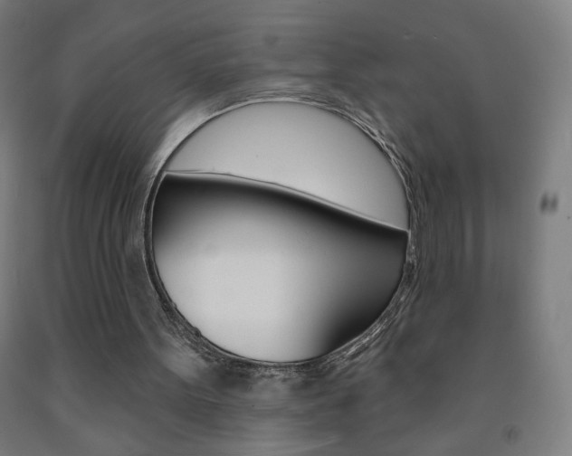 X0000093260099200709261626