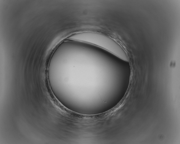 X0000093260101200709261626