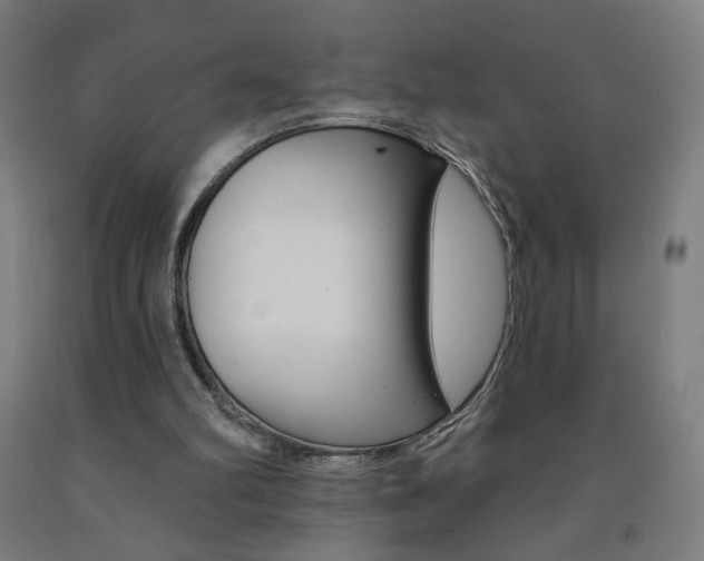X0000093260102200709261626