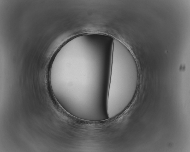 X0000093260103200709261626