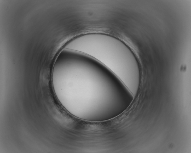 X0000093260107200709261626