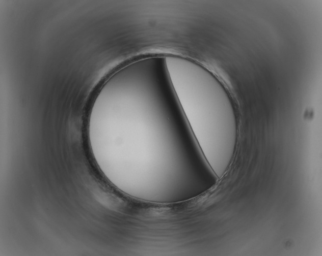 X0000093260108200709261626