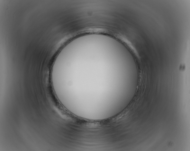 X0000093260110200709261626