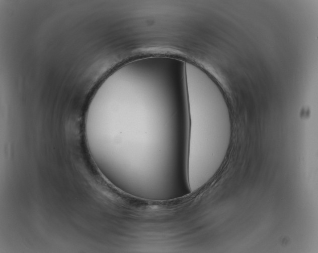 X0000093260111200709261626