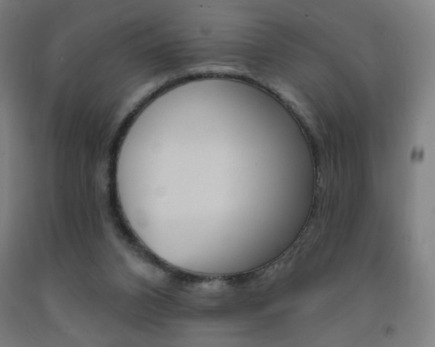 X0000093260112200709261626
