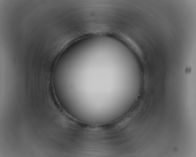X0000093260113200709261626