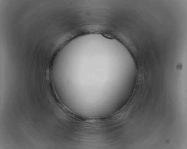 X0000093260117200709261626