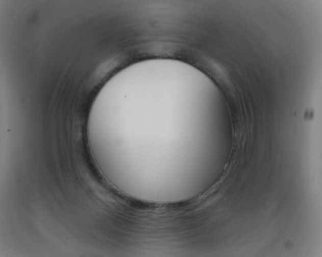 X0000093260120200709261626