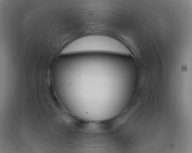 X0000093260121200709261626