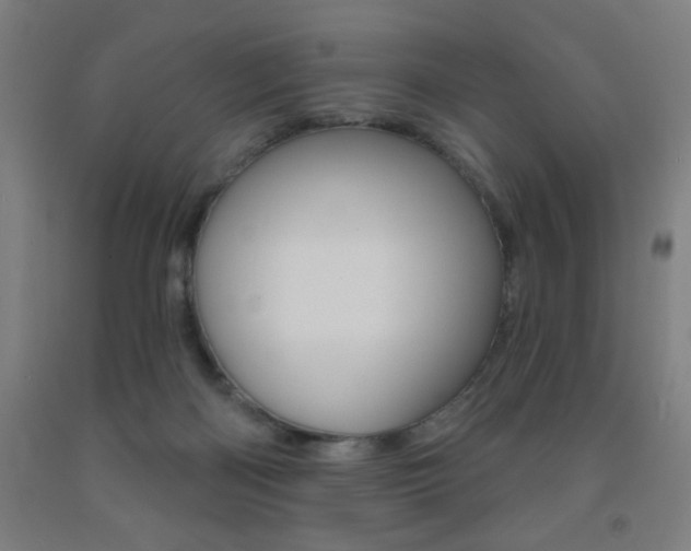 X0000093260122200709261626