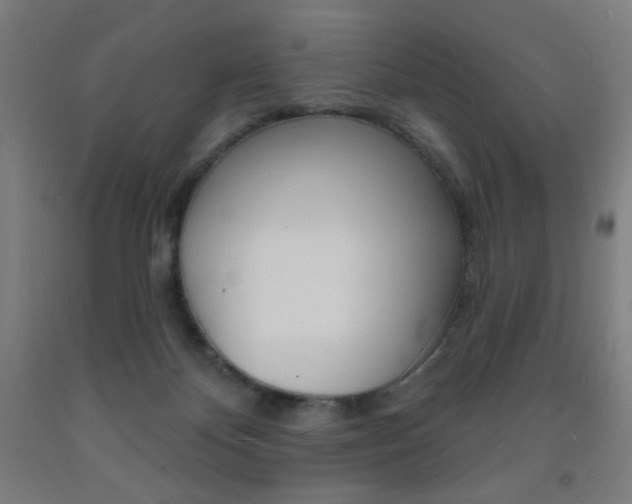 X0000093260124200709261626