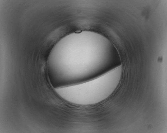 X0000093260125200709261626