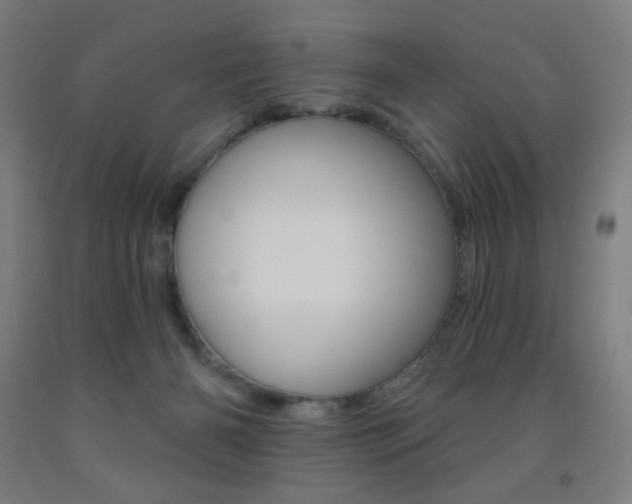 X0000093260126200709261626