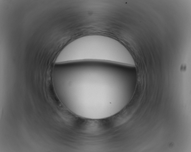 X0000093260127200709261626
