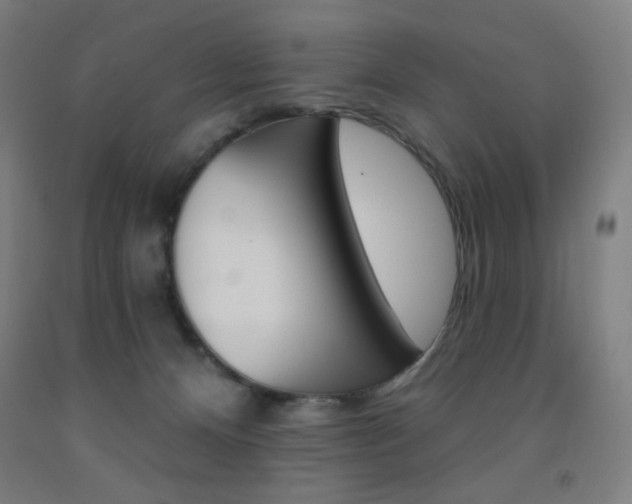 X0000093260128200709261626